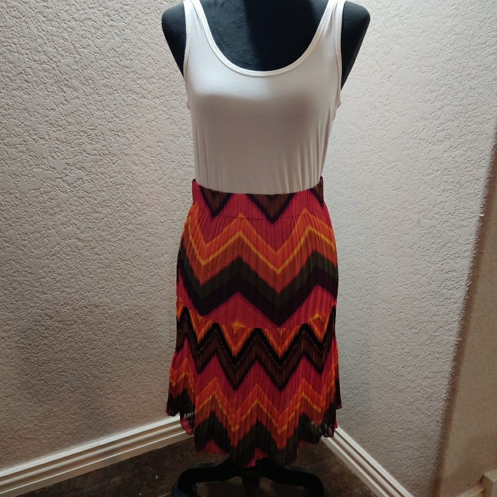Pleated Multi Colored Skirt
